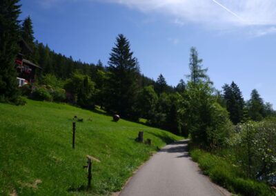 Vom Erlaufsee zum Erlaufursprung