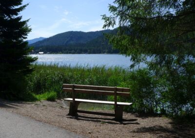 Vom Erlaufsee zum Erlaufursprung