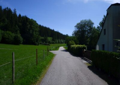 Vom Erlaufsee zum Erlaufursprung