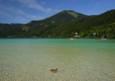 Vom Erlaufsee zum Erlaufursprung