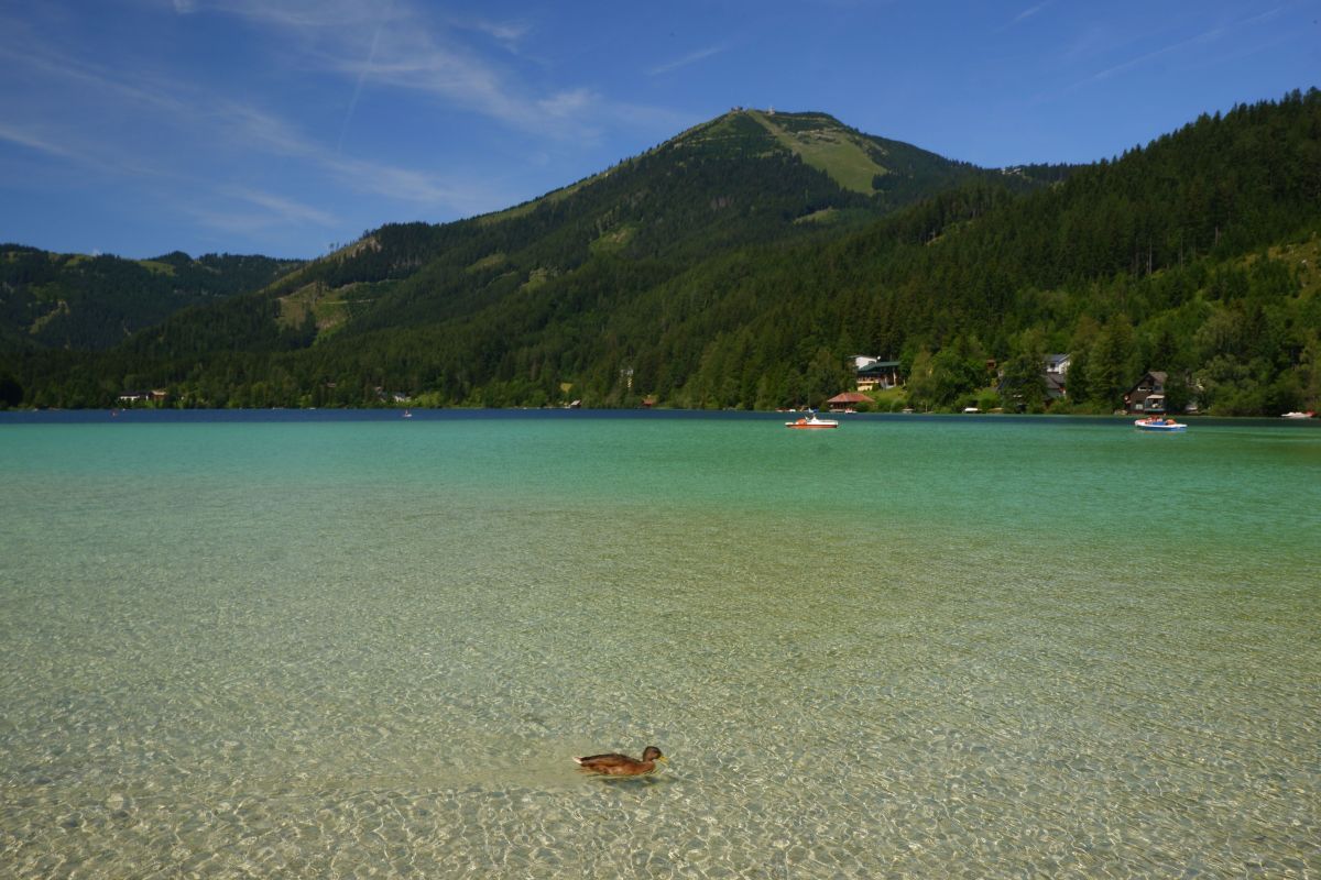 Vom Erlaufsee zum Erlaufursprung