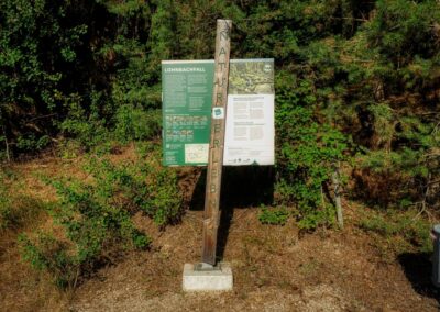 Teddybärentrail Lohnbachfall