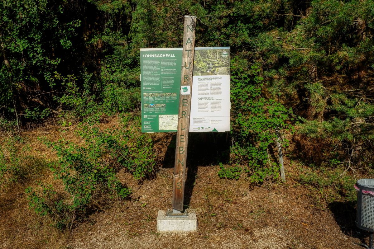 Teddybärentrail Lohnbachfall