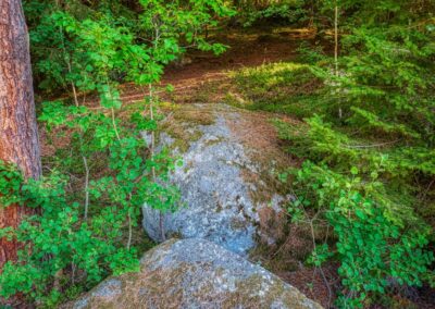 Teddybärentrail Lohnbachfall
