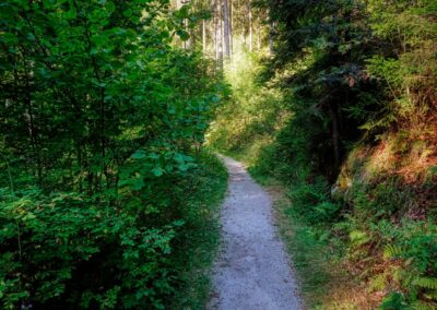 Teddybärentrail Lohnbachfall