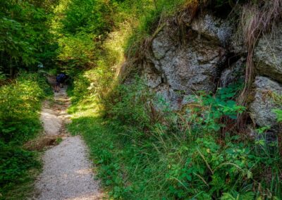 Teddybärentrail Lohnbachfall
