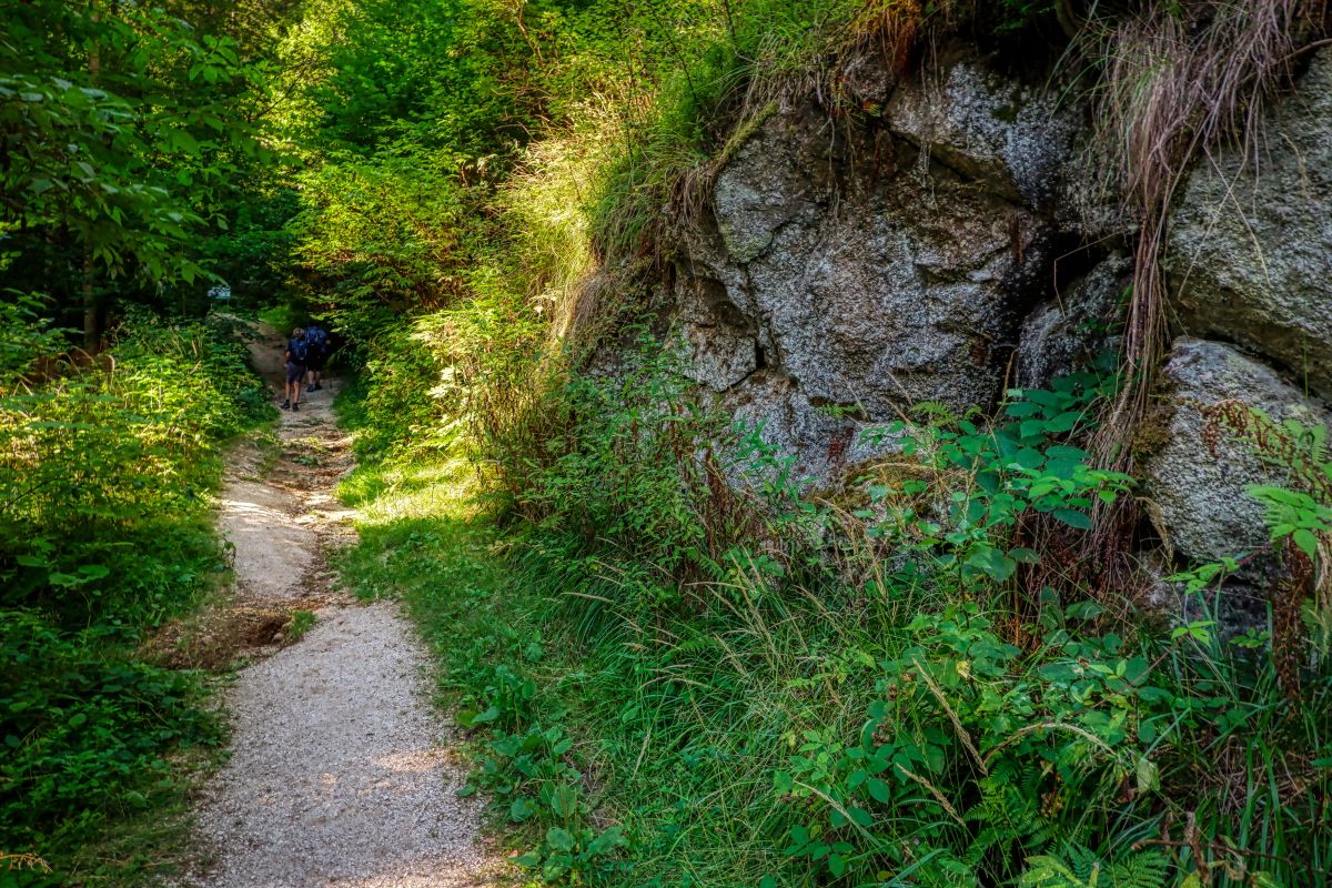 Teddybärentrail Lohnbachfall