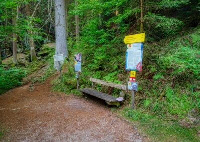Teddybärentrail Lohnbachfall