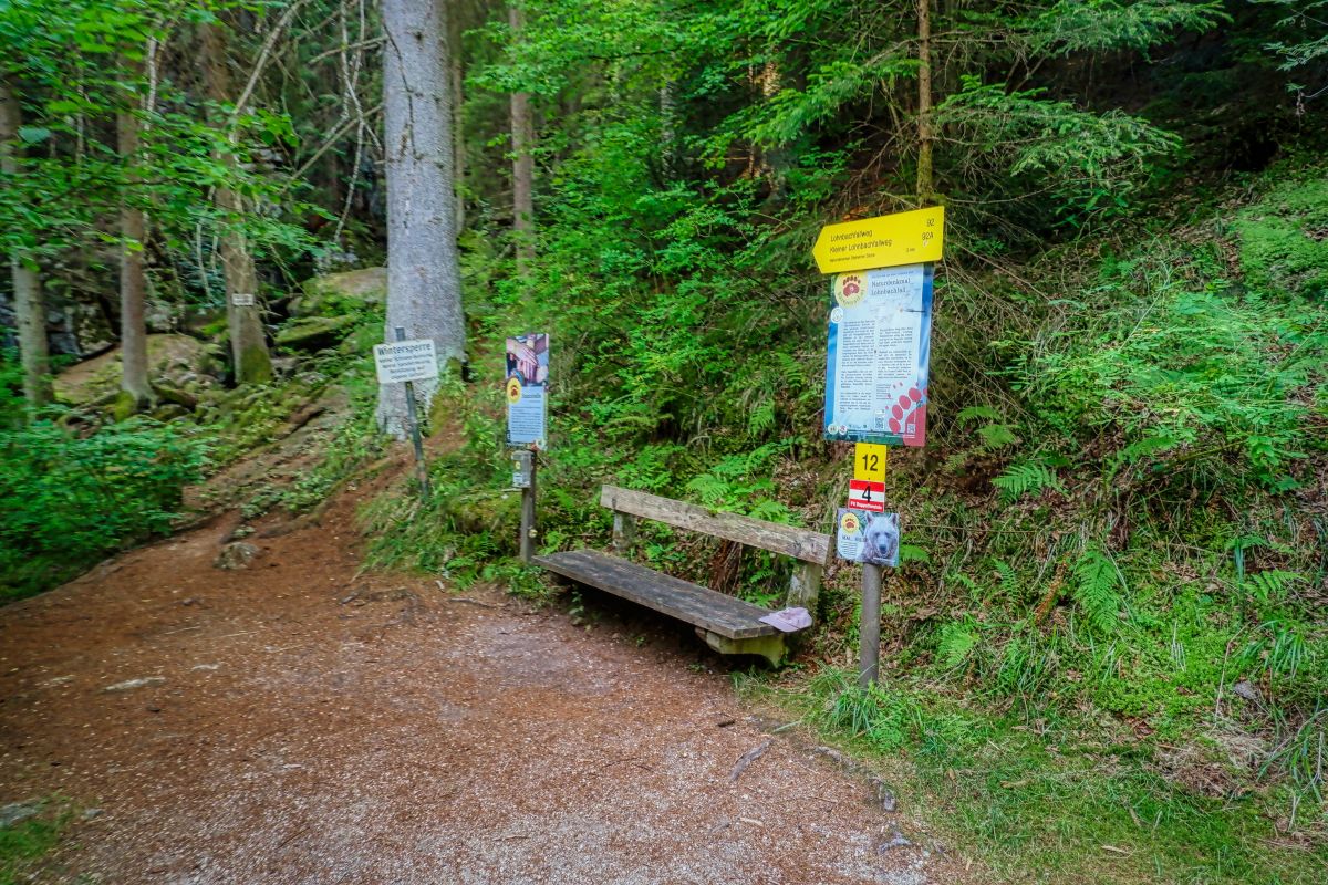 Teddybärentrail Lohnbachfall