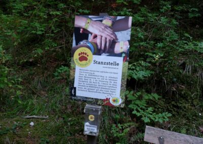 Teddybärentrail Lohnbachfall