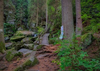 Teddybärentrail Lohnbachfall