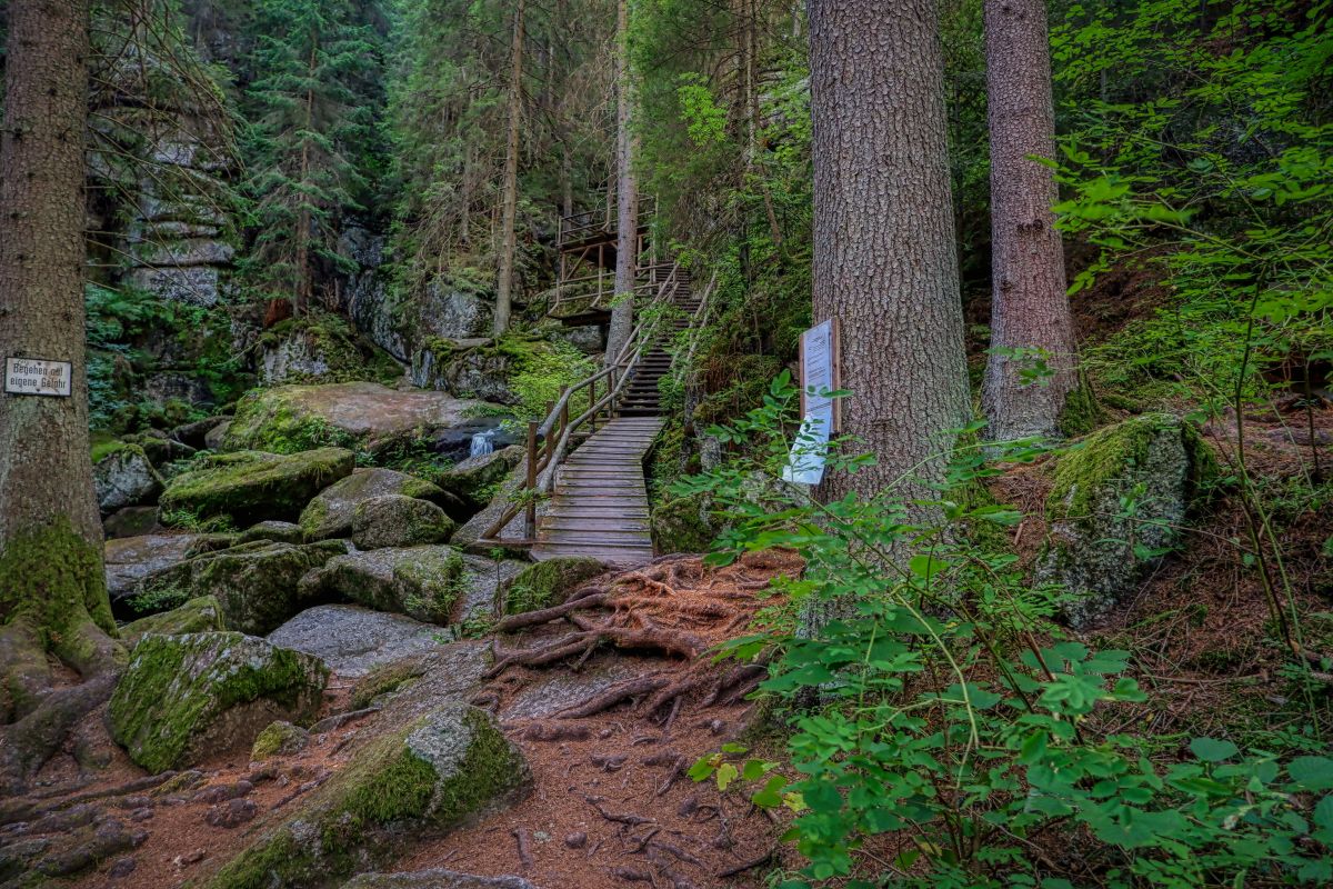 Teddybärentrail Lohnbachfall