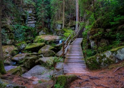 Teddybärentrail Lohnbachfall