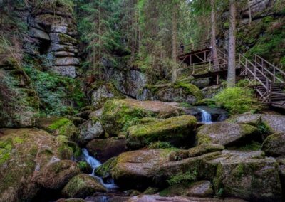 Teddybärentrail Lohnbachfall
