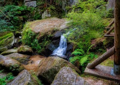 Teddybärentrail Lohnbachfall