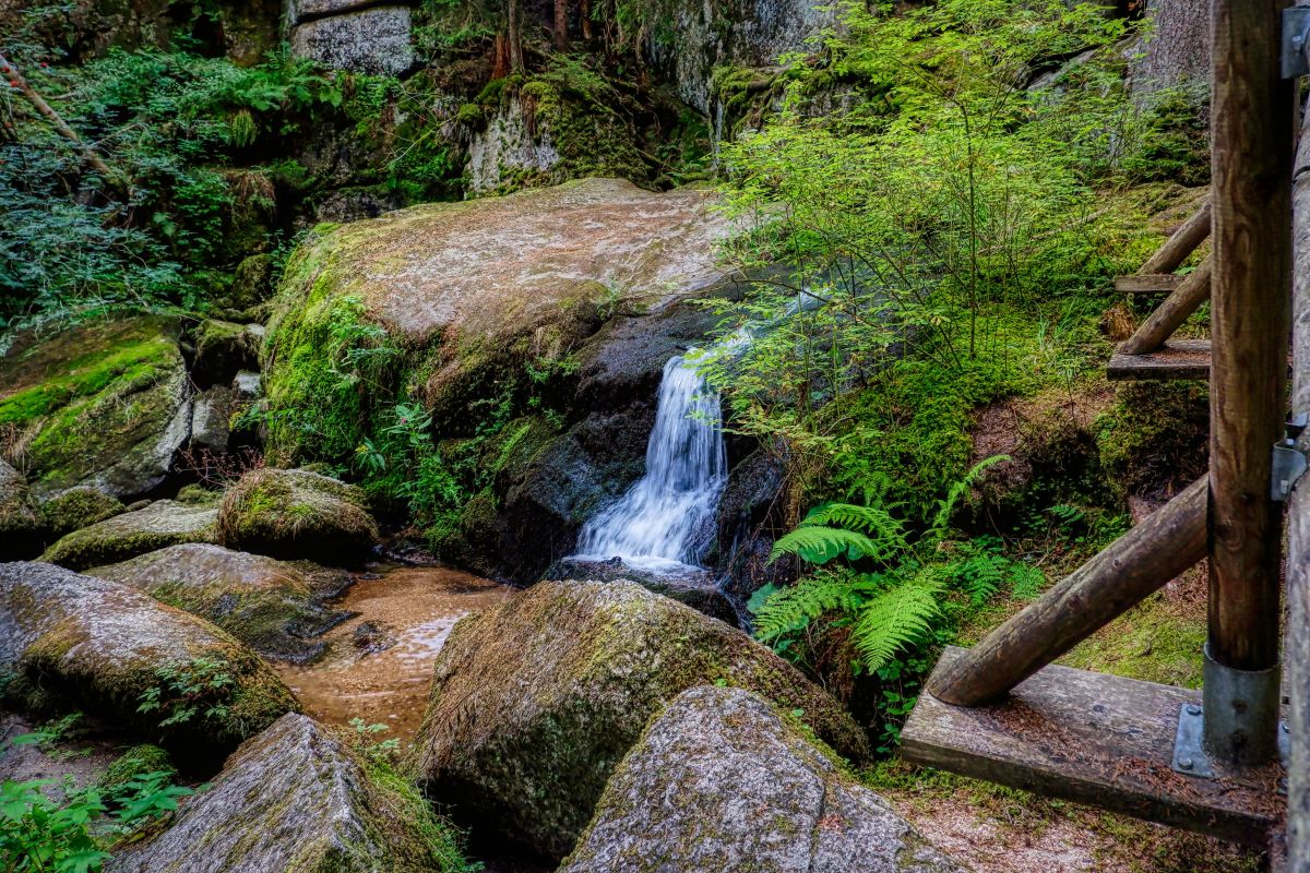 Teddybärentrail Lohnbachfall