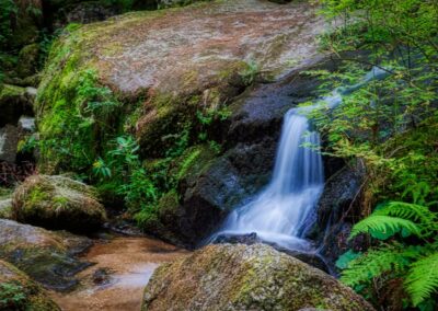 Teddybärentrail Lohnbachfall