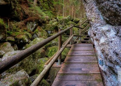 Teddybärentrail Lohnbachfall