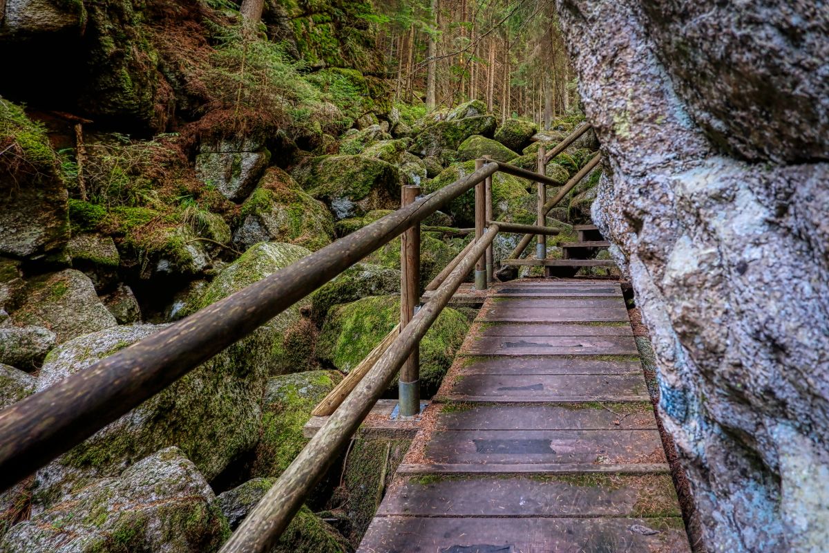 Teddybärentrail Lohnbachfall