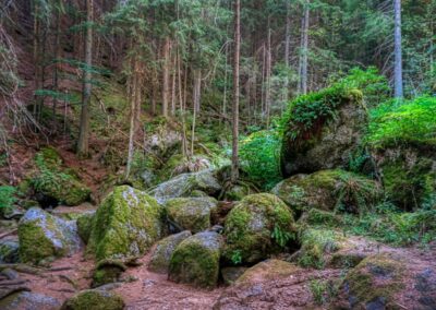 Teddybärentrail Lohnbachfall