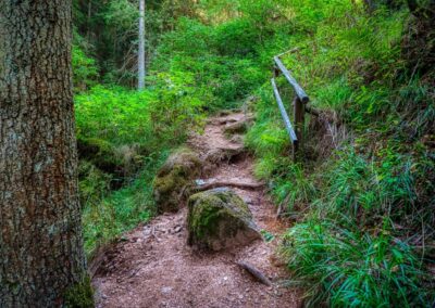 Teddybärentrail Lohnbachfall