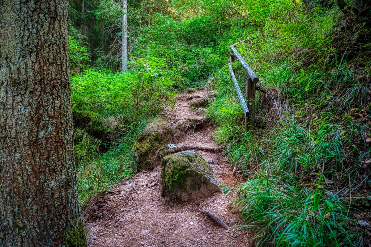 Teddybärentrail Lohnbachfall