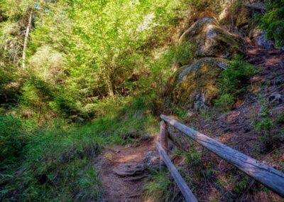 Teddybärentrail Lohnbachfall