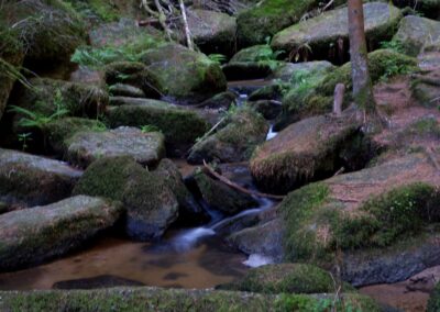 Teddybärentrail Lohnbachfall