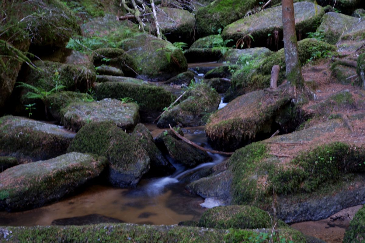 Teddybärentrail Lohnbachfall