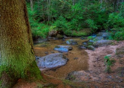 Teddybärentrail Lohnbachfall