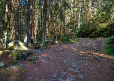 Teddybärentrail Lohnbachfall
