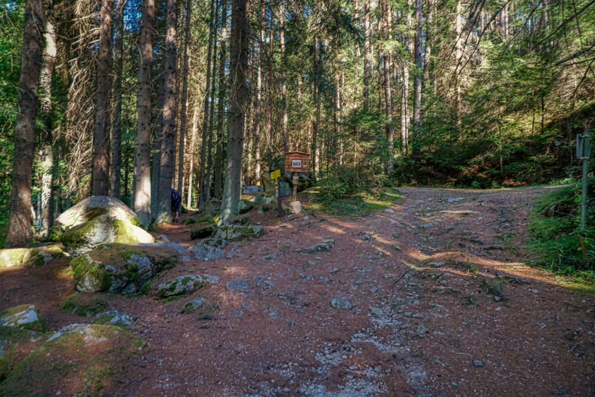 Teddybärentrail Lohnbachfall