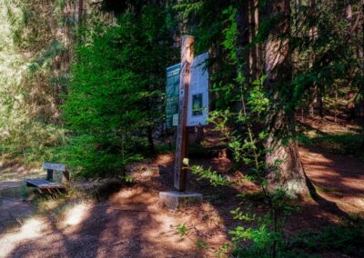 Teddybärentrail Lohnbachfall