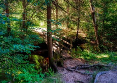Teddybärentrail Lohnbachfall