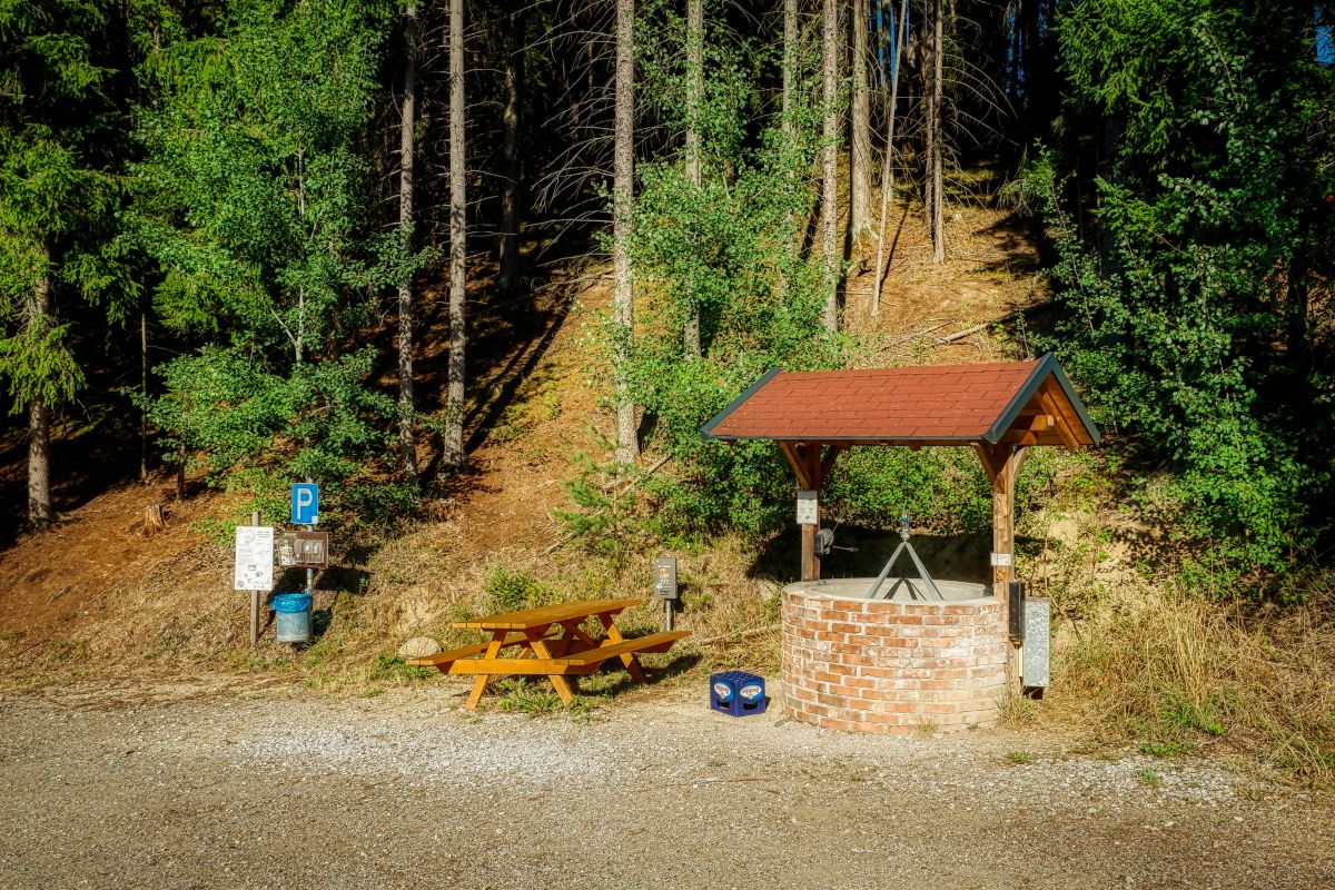 Teddybärentrail Lohnbachfall