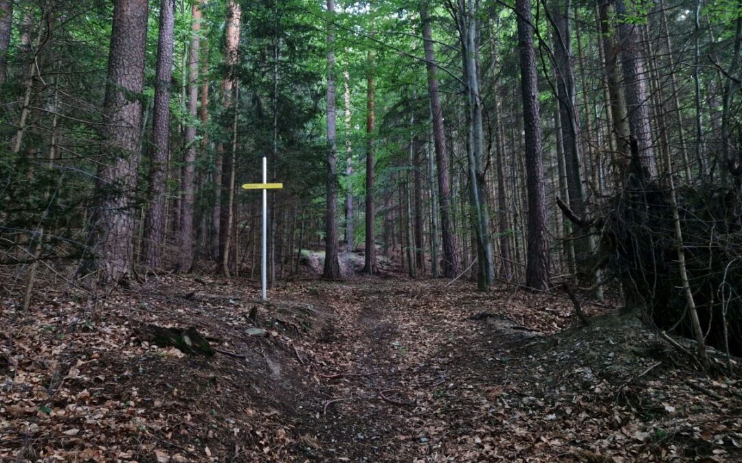 Der Kaisersteig in Reichenau an der Rax