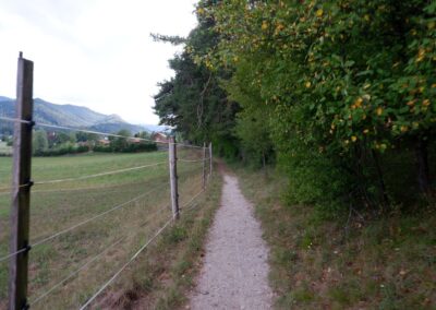Raimundweg Pernitz