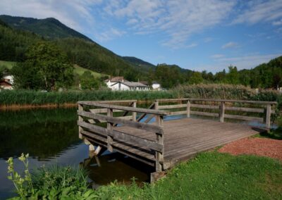 Kleine Runde durch den Naturpark Falkenstein in Schwarzau im Gebirge