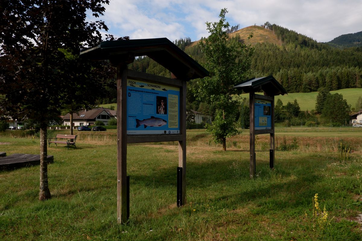 Kleine Runde durch den Naturpark Falkenstein in Schwarzau im Gebirge