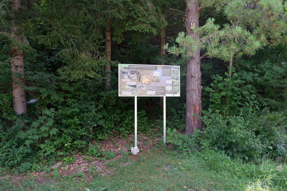 Kleine Runde durch den Naturpark Falkenstein in Schwarzau im Gebirge
