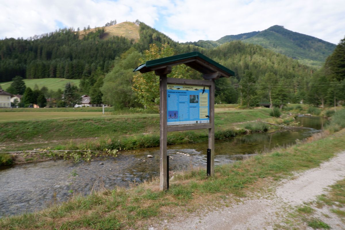 Kleine Runde durch den Naturpark Falkenstein in Schwarzau im Gebirge