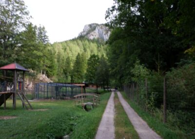 Kleine Runde durch den Naturpark Falkenstein in Schwarzau im Gebirge