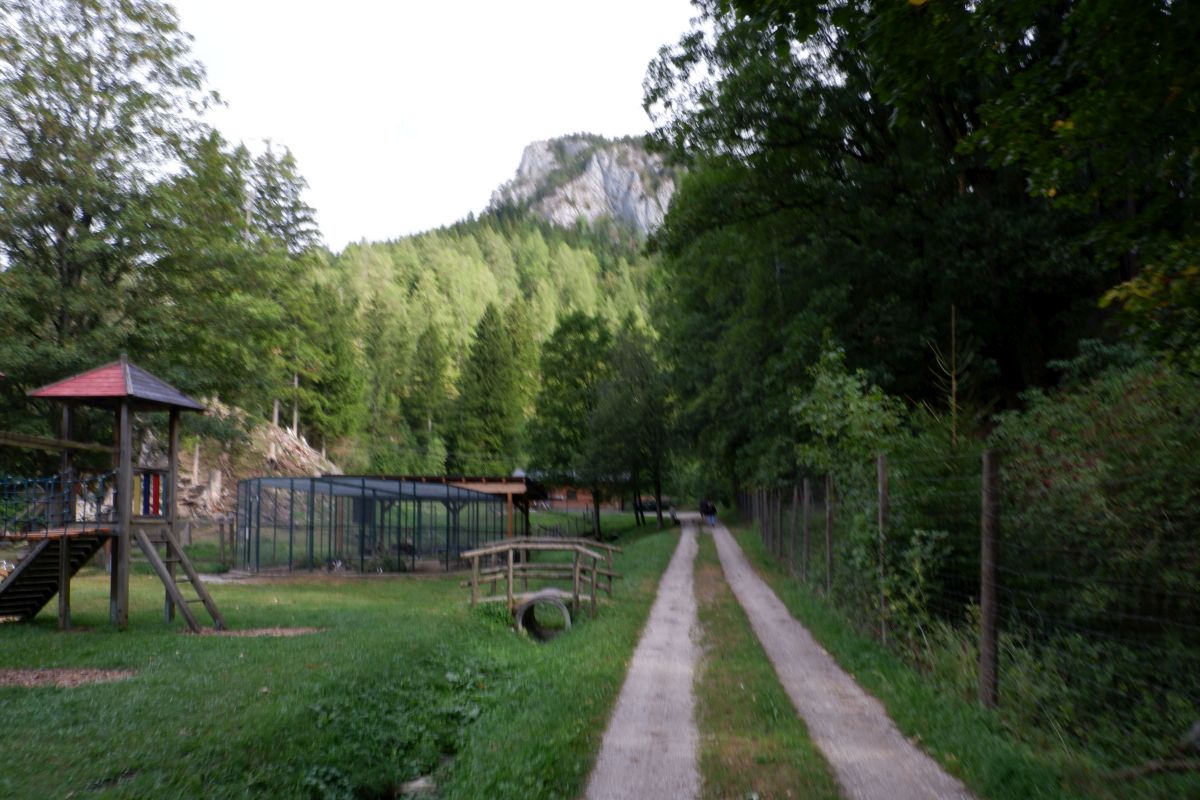 Kleine Runde durch den Naturpark Falkenstein in Schwarzau im Gebirge