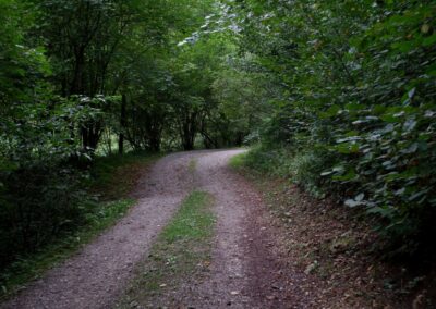 Kleine Runde durch den Naturpark Falkenstein in Schwarzau im Gebirge