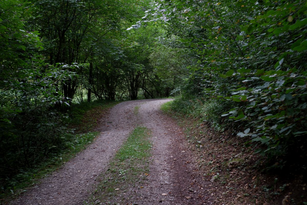 Kleine Runde durch den Naturpark Falkenstein in Schwarzau im Gebirge