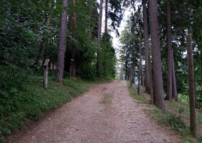 Kleine Runde durch den Naturpark Falkenstein in Schwarzau im Gebirge