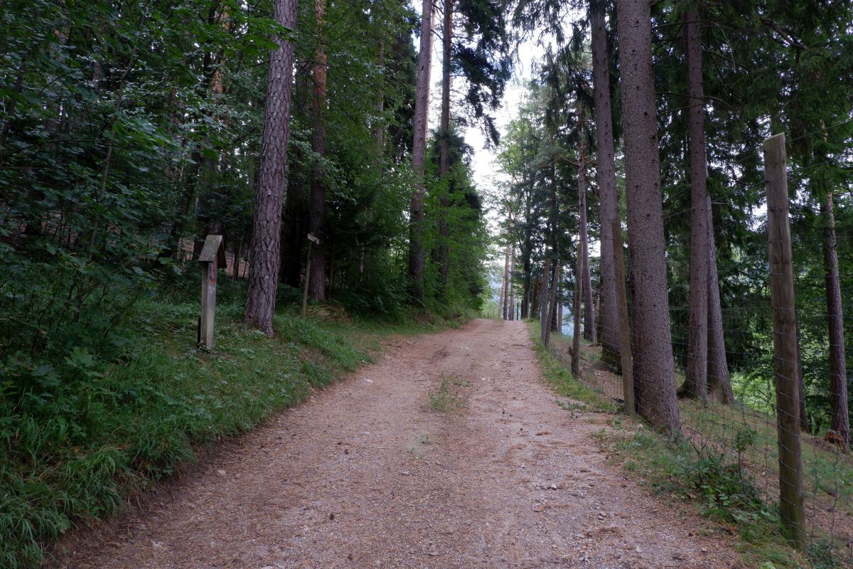 Kleine Runde durch den Naturpark Falkenstein in Schwarzau im Gebirge