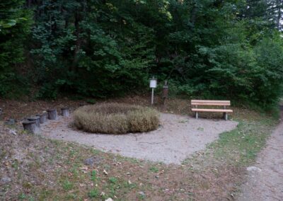 Kleine Runde durch den Naturpark Falkenstein in Schwarzau im Gebirge