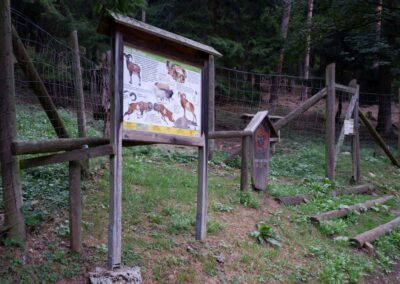 schwarzau naturpark kleinerunde 030