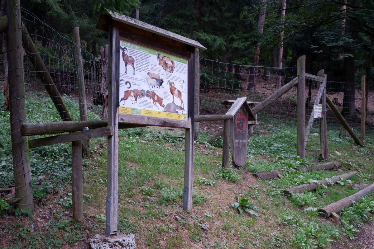 schwarzau naturpark kleinerunde 030